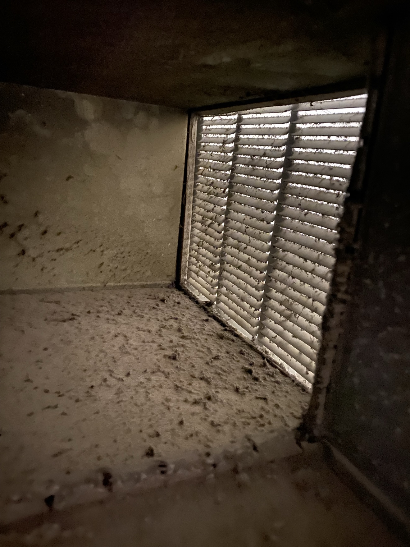 Dirty junction box interior with dust buildup